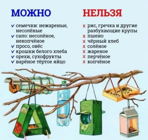 Шарики кормушки для птиц - как и из чего их сделать